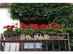 Bild zur gratis inserierten Ferienwohnung Ferienwohnung-3545640.