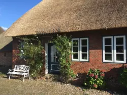 Bild zur gratis inserierten Ferienwohnung Ferienwohnung-1482240.