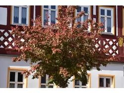 Ferienwohnung Ferienwohnung-3421557 in Bad Rodach - 6 Personen, Hund erlaubt