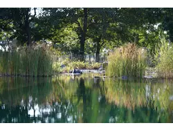 Ferienwohnung Ferienwohnung-2197626 in Schortens - 8 Personen, Hund erlaubt