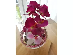 Ferienwohnung Ferienwohnung-1441187 in Rheine - 7 Personen, Hund nicht erlaubt