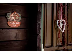 Ferienhaus Ferienhaus-2263644 in Grafenau (Landkreis Freyung-Grafenau) - 4 Personen, Hund erlaubt