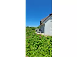 Ferienhaus Ferienhaus-3284155 in Dassow - 6 Personen, Hund erlaubt