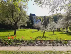 Bild zur gratis inserierten Ferienwohnung Apartment-3556731.