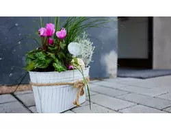 Ferienwohnung Ferienwohnung-3575290 in Boos (Vordereifel) - 4 Personen, Hund nicht erlaubt