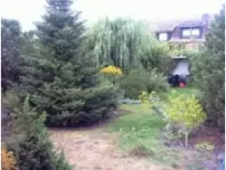 Bild zur gratis inserierten Ferienwohnung Ferienwohnung-353068.