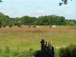 Bild zur gratis inserierten Ferienwohnung Ferienwohnung-357788.