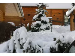 Ferienhaus Ferienhaus-457352 in Bad Sachsa - 6 Personen, Hund erlaubt