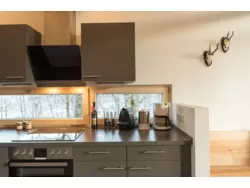 Ferienhaus Ferienhaus-457550 in Regen - 2 Personen, Hund erlaubt