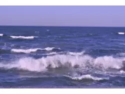 Ferienwohnung Ferienwohnung-488498 in Putbus - 2 Personen, Hund nicht erlaubt