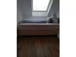 Ferienwohnung Ferienwohnung-619830 in Bad Buchau - 4 Personen, Hund erlaubt