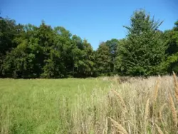 Ferienwohnung Ferienwohnung-689713 in Hohwacht - 2 Personen, Hund nicht erlaubt