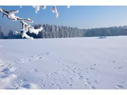 Ferienwohnung Ferienwohnung-711875 in Hohegeiß - 3 Personen, Hund nicht erlaubt