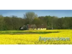 Ferienwohnung Ferienwohnung-724500 in Dassow - 4 Personen, Hund erlaubt