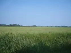 Bild zur gratis inserierten Ferienwohnung Ferienhaus-763806.