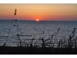 Bild zur gratis inserierten Ferienwohnung Ferienhaus-867166.