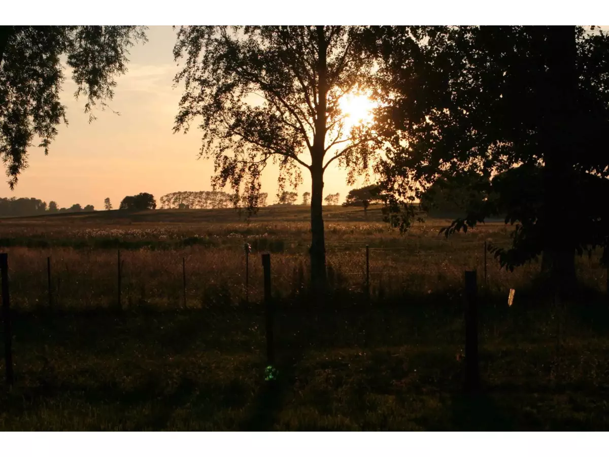 4. Bild Bild-4