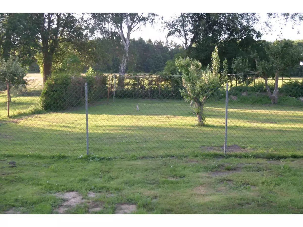 2. Bild Bild-2