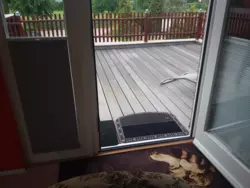 Ferienwohnung Ferienwohnung-897660 in Usedom - 4 Personen, Hund nicht erlaubt