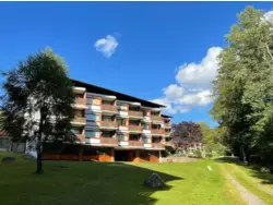 Ferienwohnung Ferienwohnung-981813 in Schluchsee (Kernort) - 4 Personen, Hund nicht erlaubt