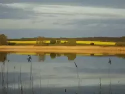 Ferienwohnung Ferienwohnung-1025073 in Blankensee - 2 Personen, Hund nicht erlaubt