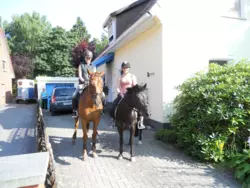 Ferienwohnung Ferienwohnung-1158815 in Ebbingen - 4 Personen, Hund nicht erlaubt