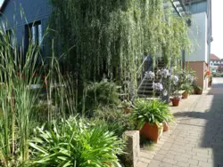 Bild zur gratis inserierten Ferienwohnung Apartment-1161669.