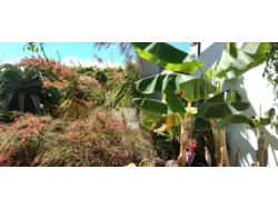 Ferienwohnung Ferienwohnung-1141466 in Teguise - 2 Personen, Hund nicht erlaubt