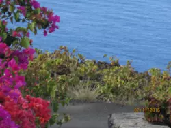 Bild zur gratis inserierten Ferienwohnung Ferienhaus-1151901.