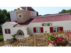 Ferienwohnung Ferienwohnung-1193996 in Calvià (Serra de Tramuntana) - 2 Personen, Hund nicht erlaubt