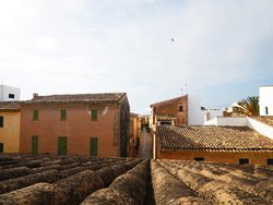 Bild zur gratis inserierten Ferienwohnung Ferienhaus-1245798.