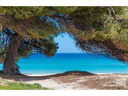 Bild zur gratis inserierten Ferienwohnung Ferienhaus-1245869.