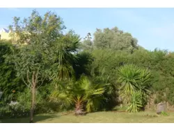 Bild zur gratis inserierten Ferienwohnung Ferienhaus-1147822.