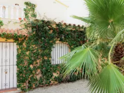 Bild zur gratis inserierten Ferienwohnung Ferienhaus-1247354.