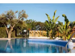 Bild zur gratis inserierten Ferienwohnung Ferienhaus-1248295.