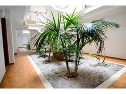 Bild zur gratis inserierten Ferienwohnung Ferienwohnung-1287635.