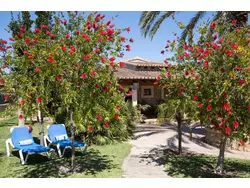 Ferienhaus Ferienhaus-1313756 in Binissalem (Raiguer) - 8 Personen, Hund nicht erlaubt