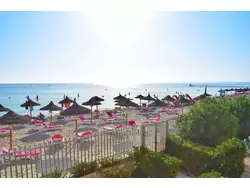 Bild zur gratis inserierten Ferienwohnung Ferienwohnung-1458126.