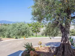 Bild zur gratis inserierten Ferienwohnung Ferienhaus-1479691.