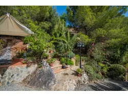 Bild zur gratis inserierten Ferienwohnung Ferienhaus-1583872.