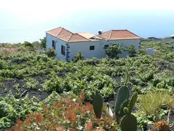 Bild zur gratis inserierten Ferienwohnung Ferienhaus-1644406.