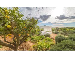 Bild zur gratis inserierten Ferienwohnung Ferienhaus-1645533.