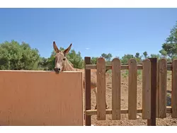 Bild zur gratis inserierten Ferienwohnung Ferienhaus-1838315.