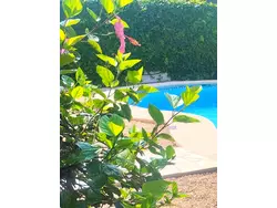 Ferienhaus Ferienhaus-1911923 in Beniarbeig (la Marina Alta) - 6 Personen, Hund nicht erlaubt