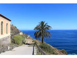 Ferienhaus Ferienhaus-3504583 in Los Realejos - 6 Personen, Hund nicht erlaubt