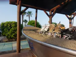 Bild zur gratis inserierten Ferienwohnung Ferienwohnung-3285935.