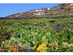 Bild zur gratis inserierten Ferienwohnung Ferienhaus-3419090.