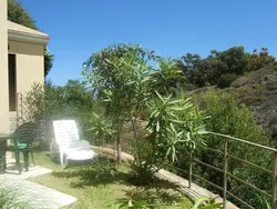 Ferienwohnung Ferienwohnung-1436403 in Santa Úrsula - 3 Personen, Hund nicht erlaubt