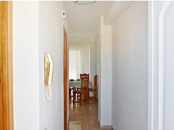 Ferienwohnung Ferienwohnung-264046 in Torrevieja (el Baix Segura / La Vega Baja del Segura) - 4 Personen, Hund erlaubt