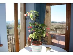 Bild zur gratis inserierten Ferienwohnung Ferienhaus-712887.